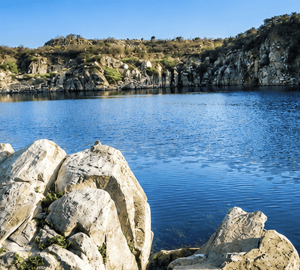 Asola Bhatti Wildlife Sanctuary